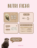 Nutri Fichas